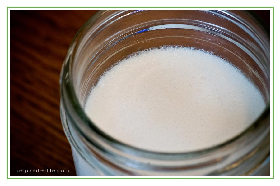 when fermenting goes bad, literally {coconut milk yogurt, part 2}