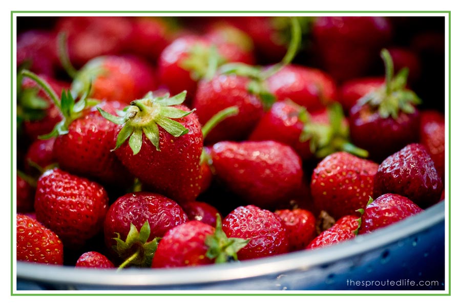 freezing strawberries – {what i’m working on today}