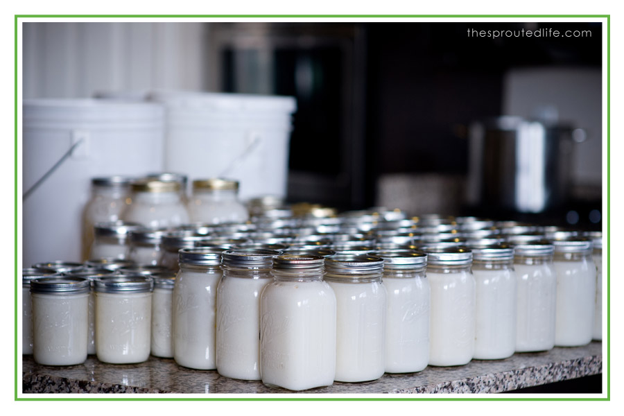 Spotlight on Bulk Buying: Coconut Oil