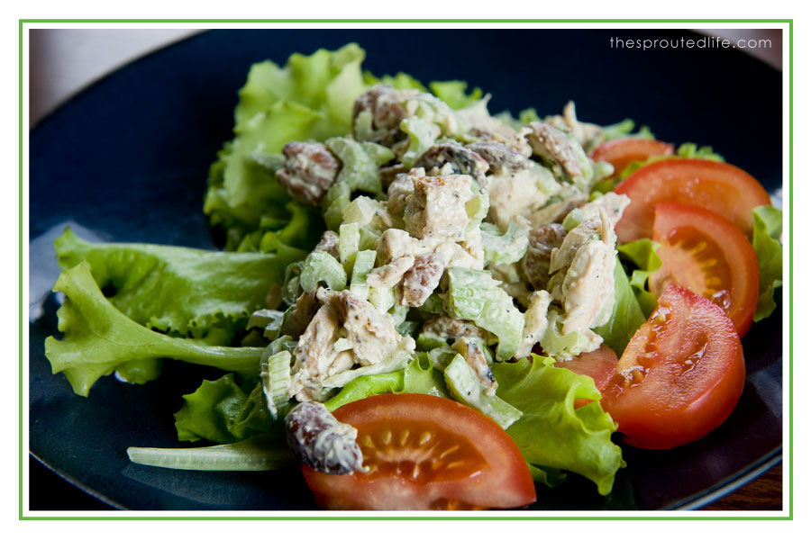 chickensalad2