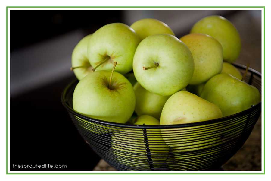 gluten free pecan oat apple crisp