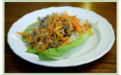 Pork Lettuce Wraps – a Gluten Free, Quick Dinner