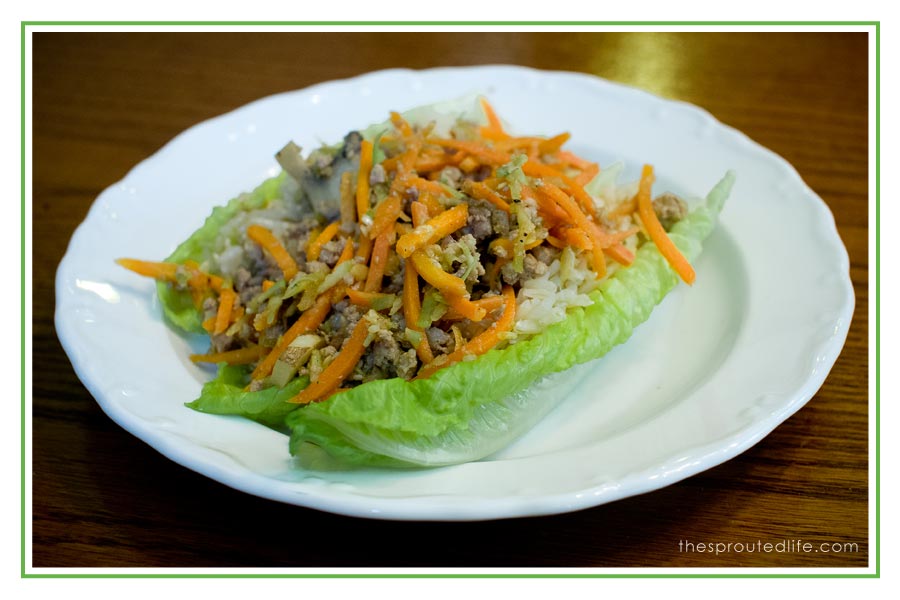 Pork Lettuce Wraps – a Gluten Free, Quick Dinner