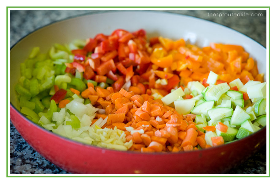 Loaded Sloppy Joes (an evolution in veggies) – gluten free