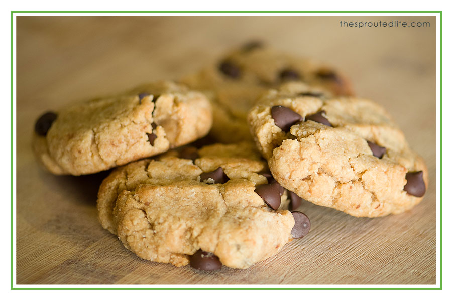 Our Favorite Cookie – Paleo Chocolate Chip Cookies